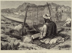 Weaver Jellalabadissa